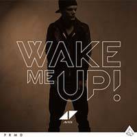 Avicii / Wake Me Up